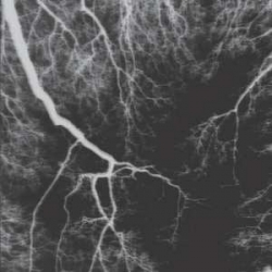 359 - The Path of Ayin