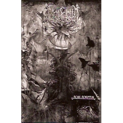 Lucifugum - Acme Adeptum