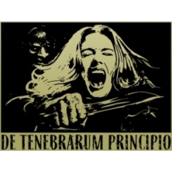 De Tenebrarum Principio
