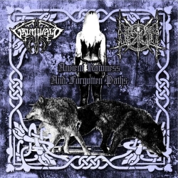 Betula / Grimwald  - Ancient Rawness and Forgotten Paths
