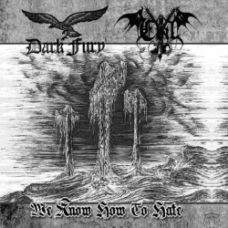 Dark Fury / Evil - We Know How to Hate