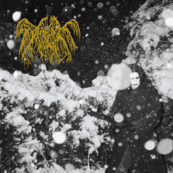 Deathlike Silence - Deathlike Silence