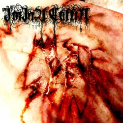 I'm In A Coffin - Waste of skin