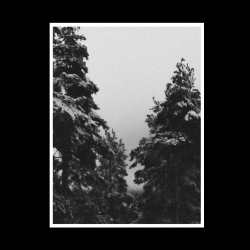 Odious Devotion - Ilmestys