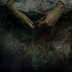 Elseetoss - Elseetoss