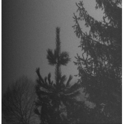 Vintlechkeit - Evig Og Mork Vinter... / Svarta...