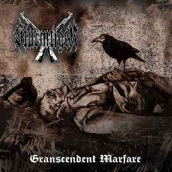 Sturmtiger ‎- Transcendent Warfare