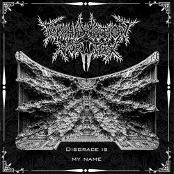 Annihilation Vortex - Disgrace Is My Name